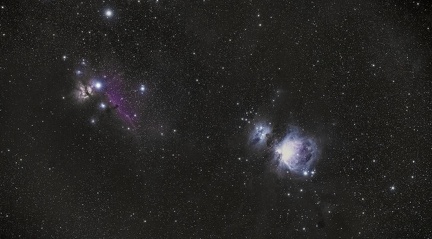 Orion Sony Redcat